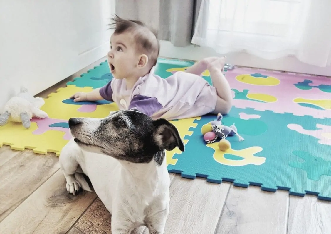 Baby auf Krabbeldecke mit Hund Baby und Hund auf Krabbeldecke