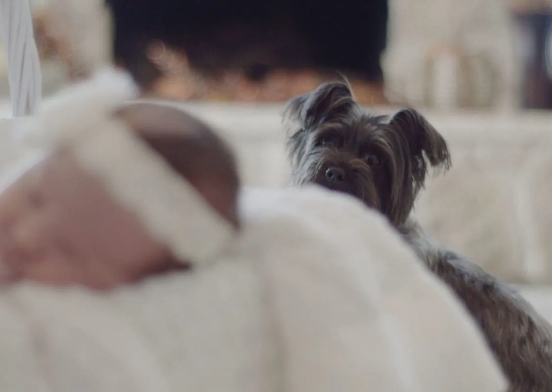 Baby in der Wiege mit Hund Hund und baby