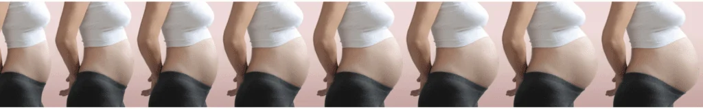 Babybauch Wachstum Bauchwachstum Schwangerschaft