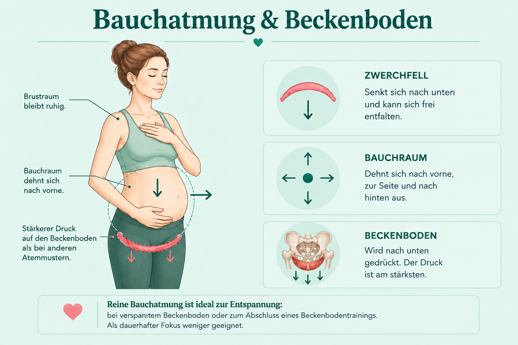 Bauchatmung Atmung und Beckenboden Bauchatmung