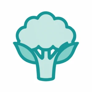 Blumenkohl Dein Baby ist so groß wie ein Blumenkohl