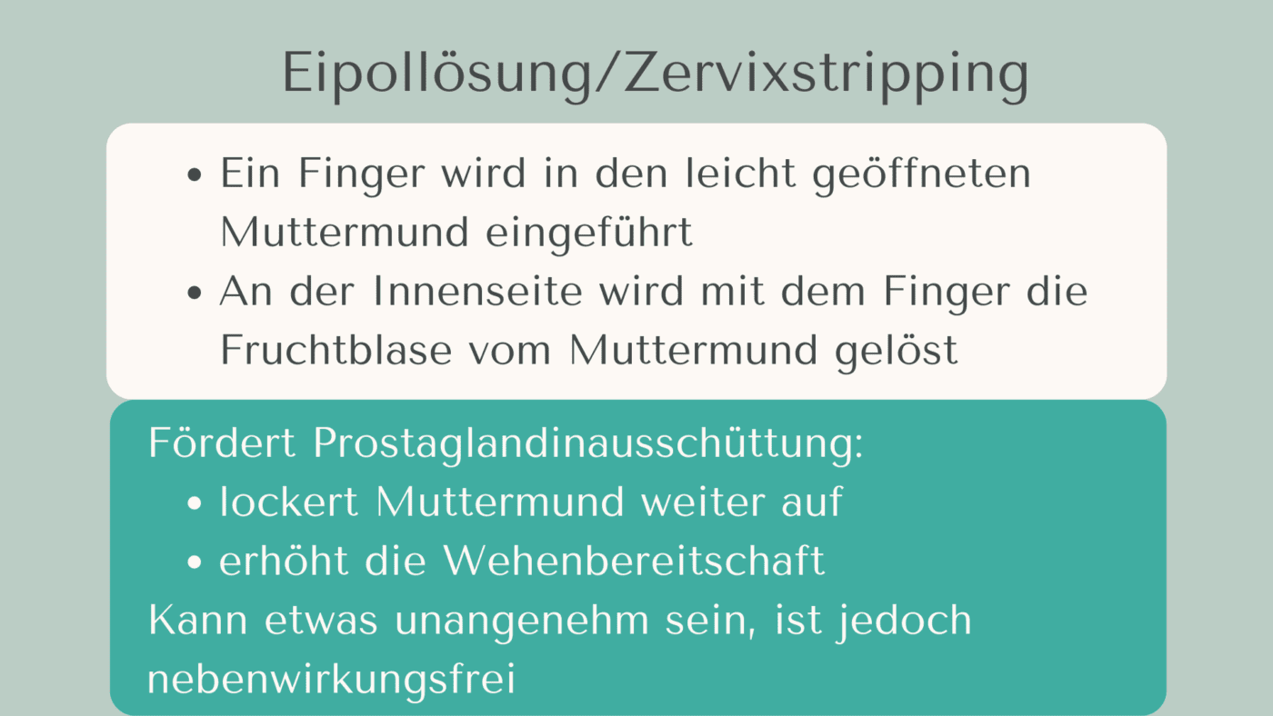Eipollösung wie wird sie durchgeführt