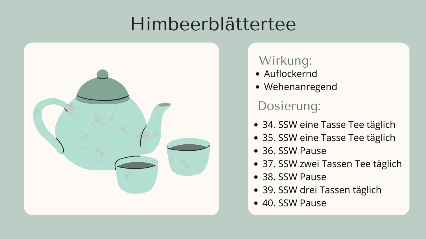Himbeerblättertee Dosierung