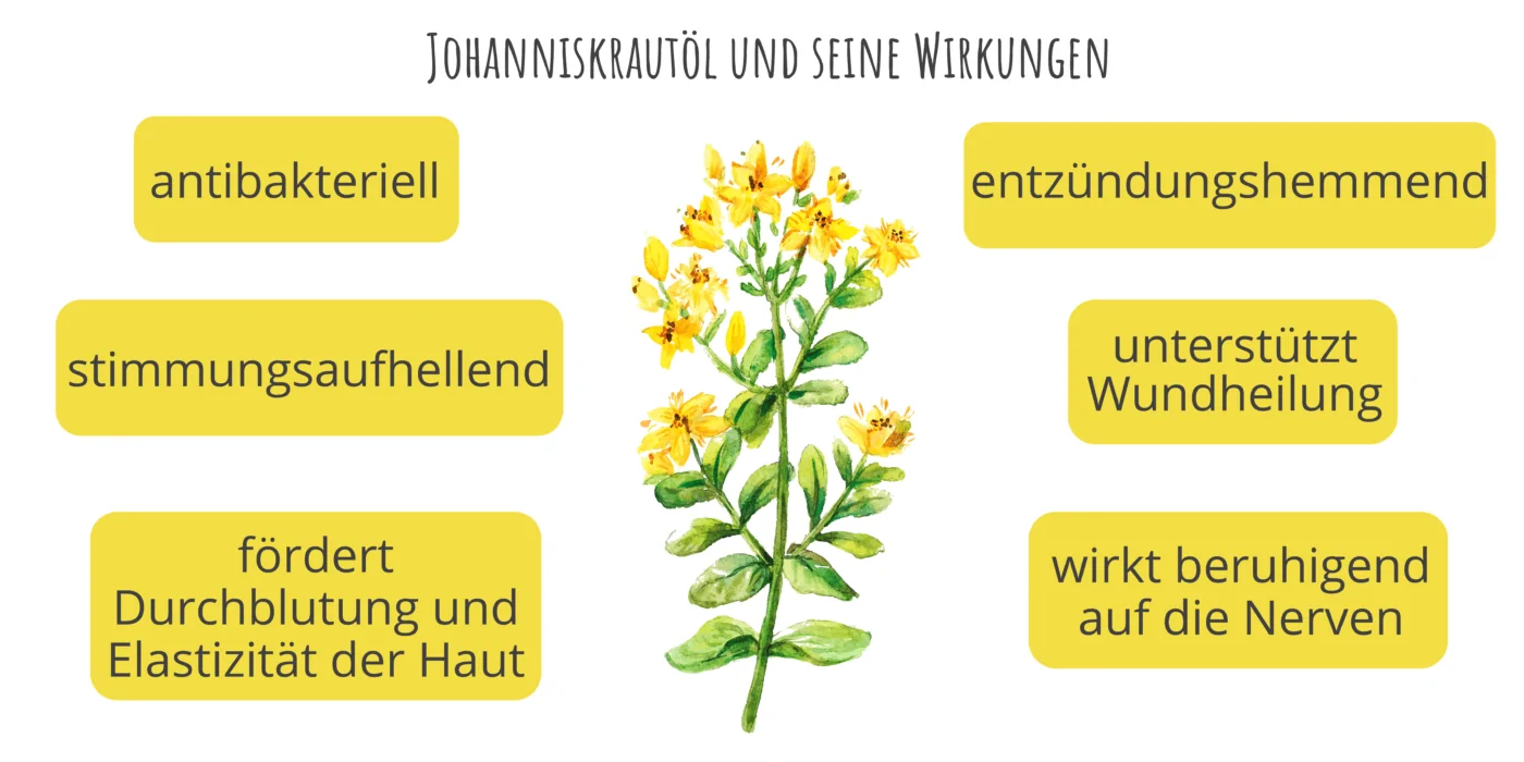 Johanniskrautöl und seine Wirkungen