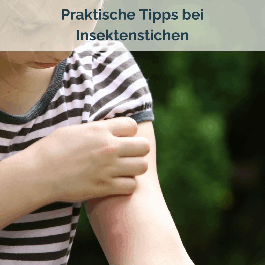 Kostenloser Download Tipps bei Insektenstichen