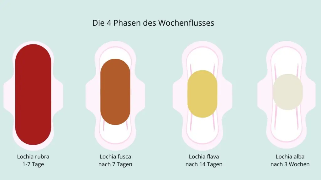 Lochien 4 Phasen Lochien Phasen