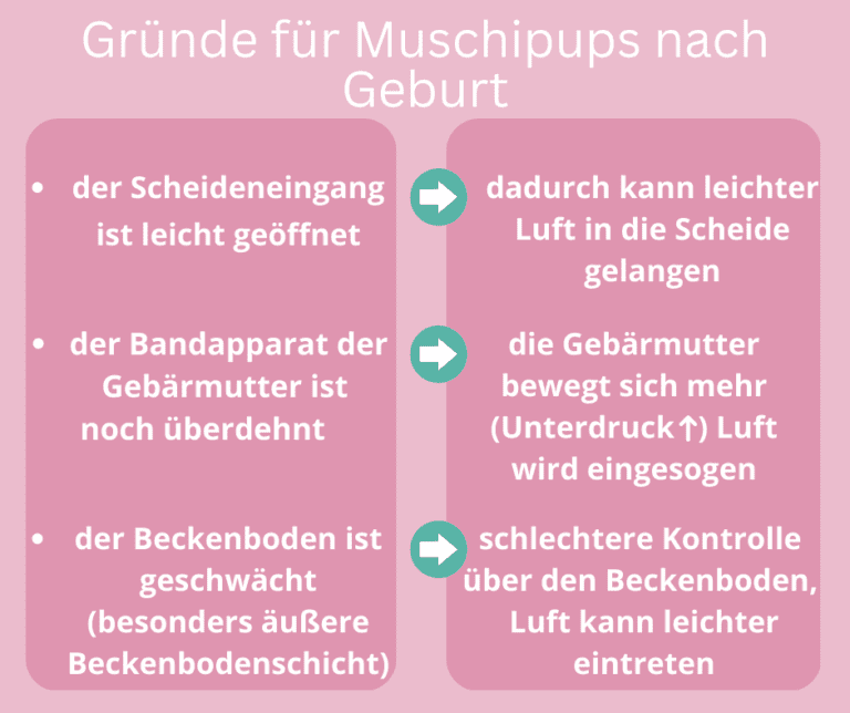 Muschifurz Warum Luft Aus Der Scheide Kommt Und Das Normal Ist