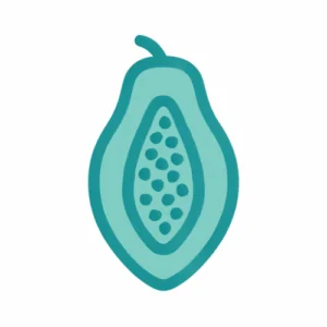 Papaya Dein Baby ist so groß wie eine Papaya