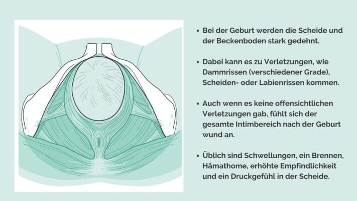scheide-nach-der-geburt-alles-zu-ver-nderungen-und-heilung