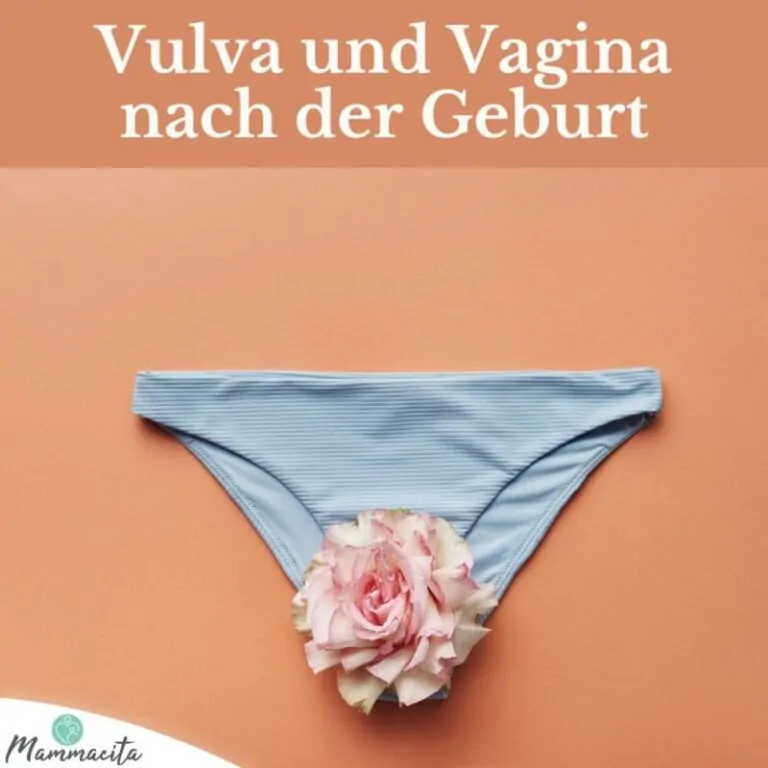 Scheide und Vulva nach der Geburt