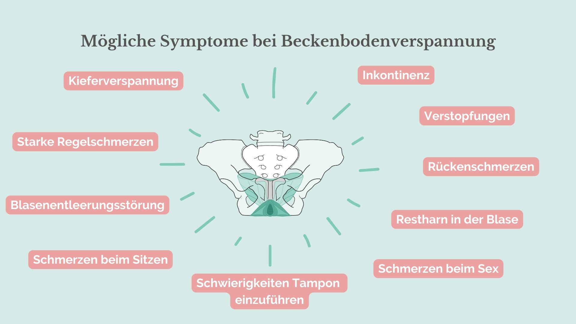 Wie Spannt Man Den Beckenboden An Frau www.mammacita.de