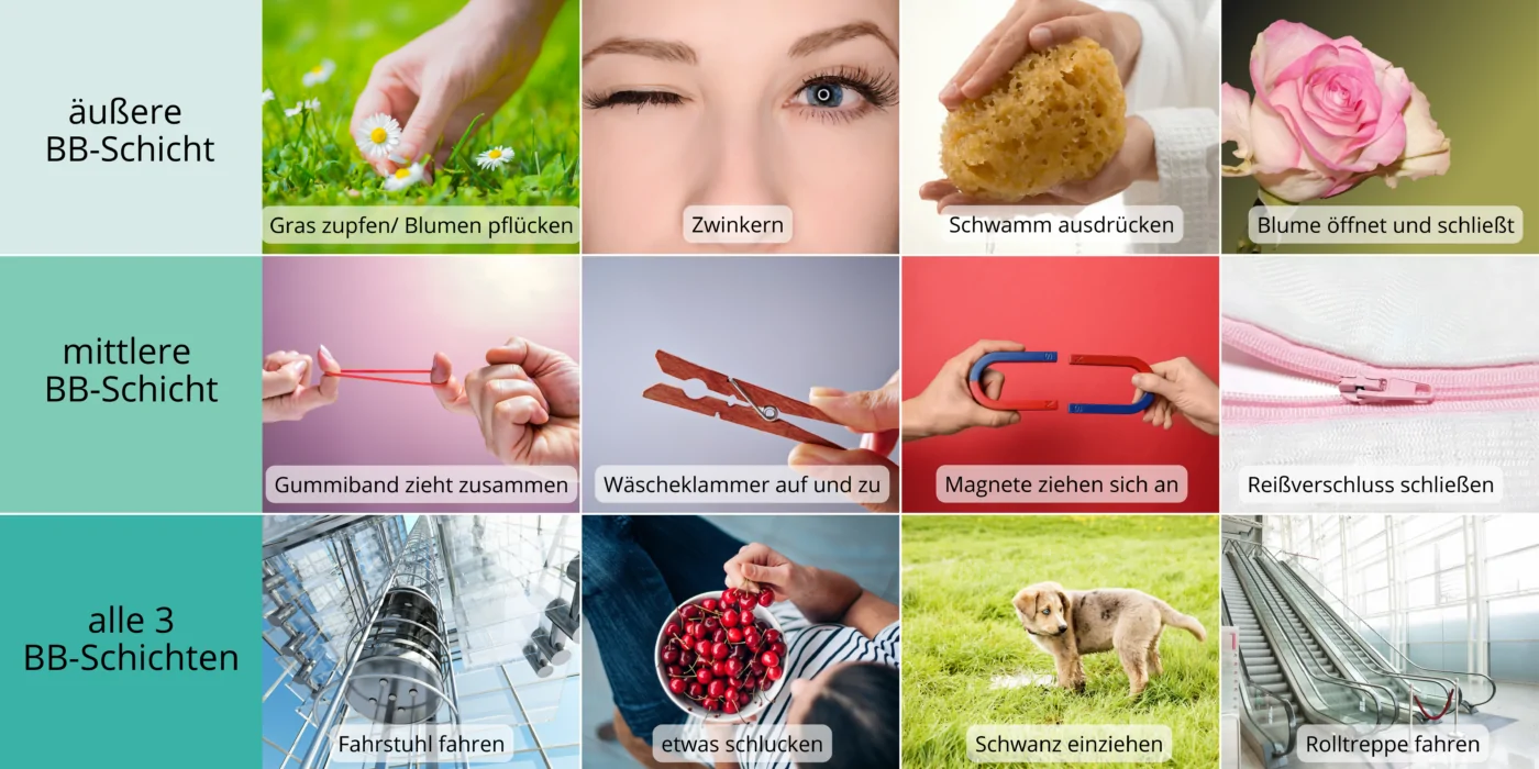 Uebungsbilder Beckenbodentraining Uebungsbilder Beckenbodentraining