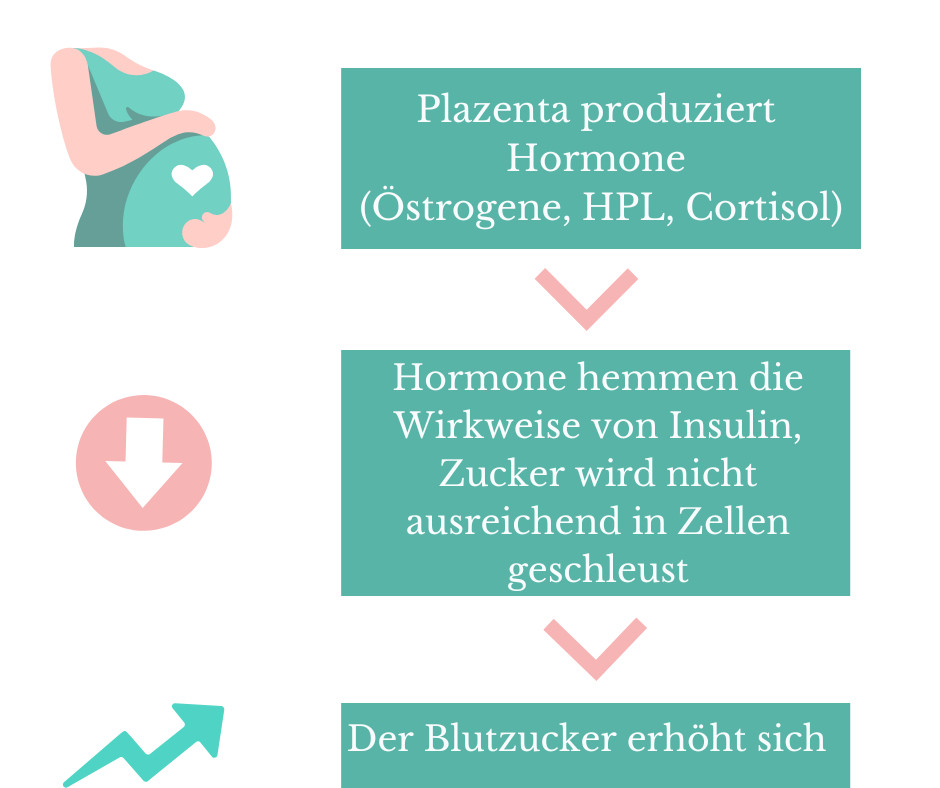 Was ist Schwangerschaftsdiabetes Ursache Schwangerschaftsdiabetes