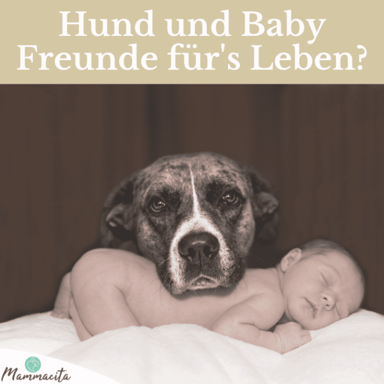 Hund und Baby: Freunde für's Leben oder Gefahr für Dein Kind?