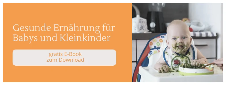 gesunde Ernährung für babys e book 1