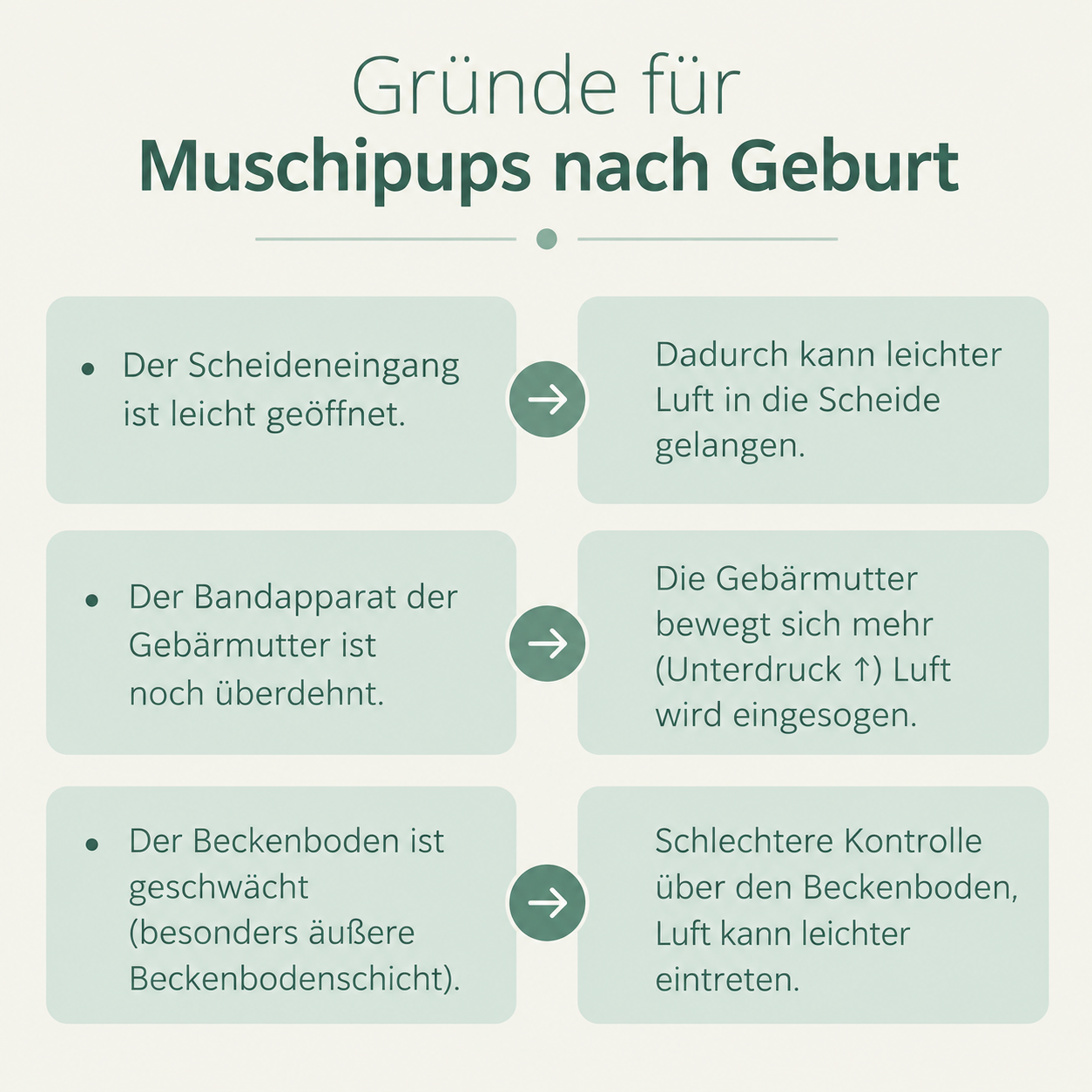 gruende Muschipups Gründe für Muschifurz