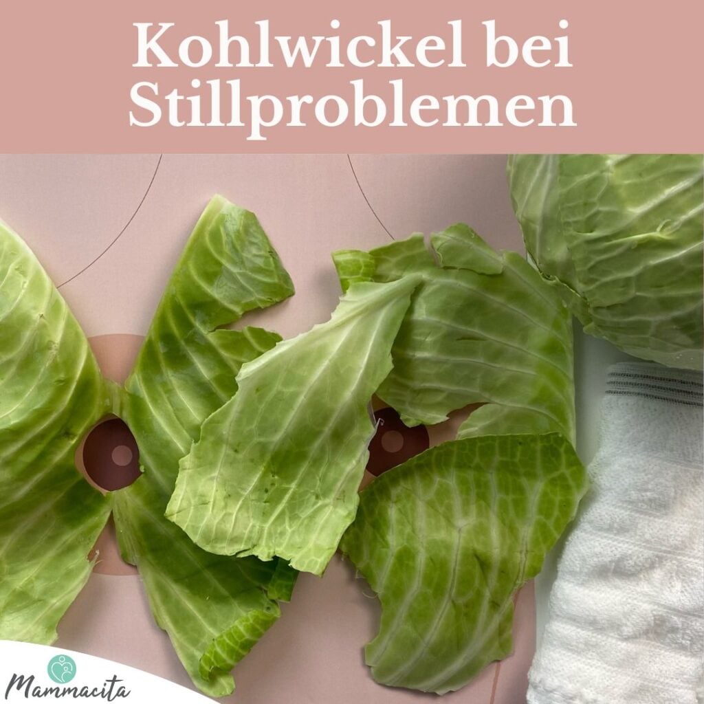 Beitragsbild Kohlwickel