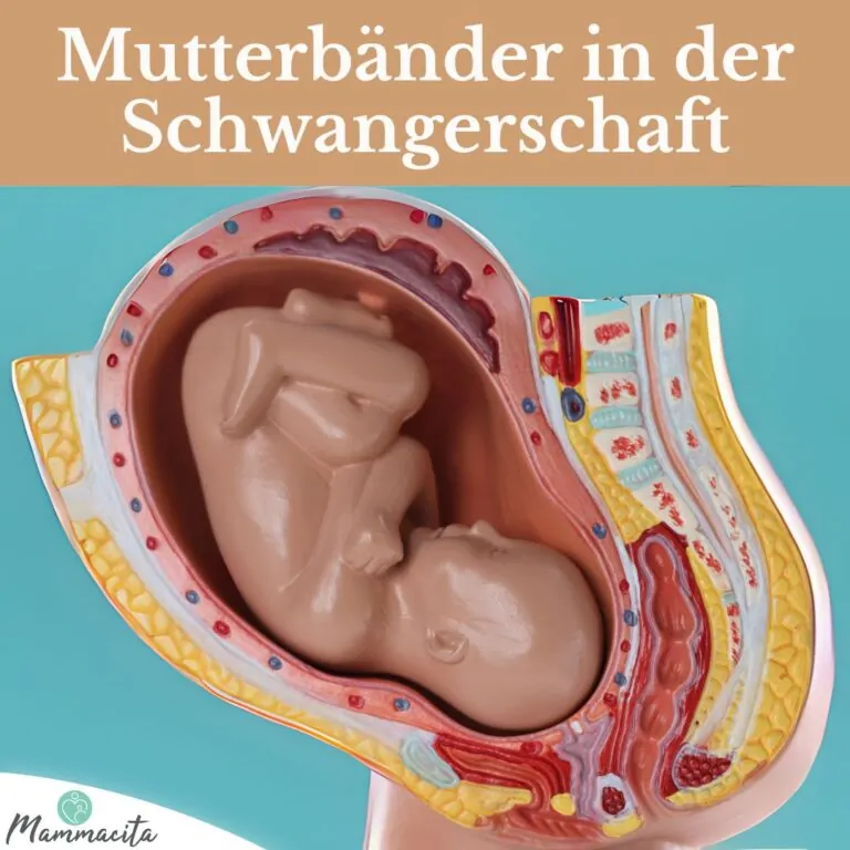 Mutterbänder