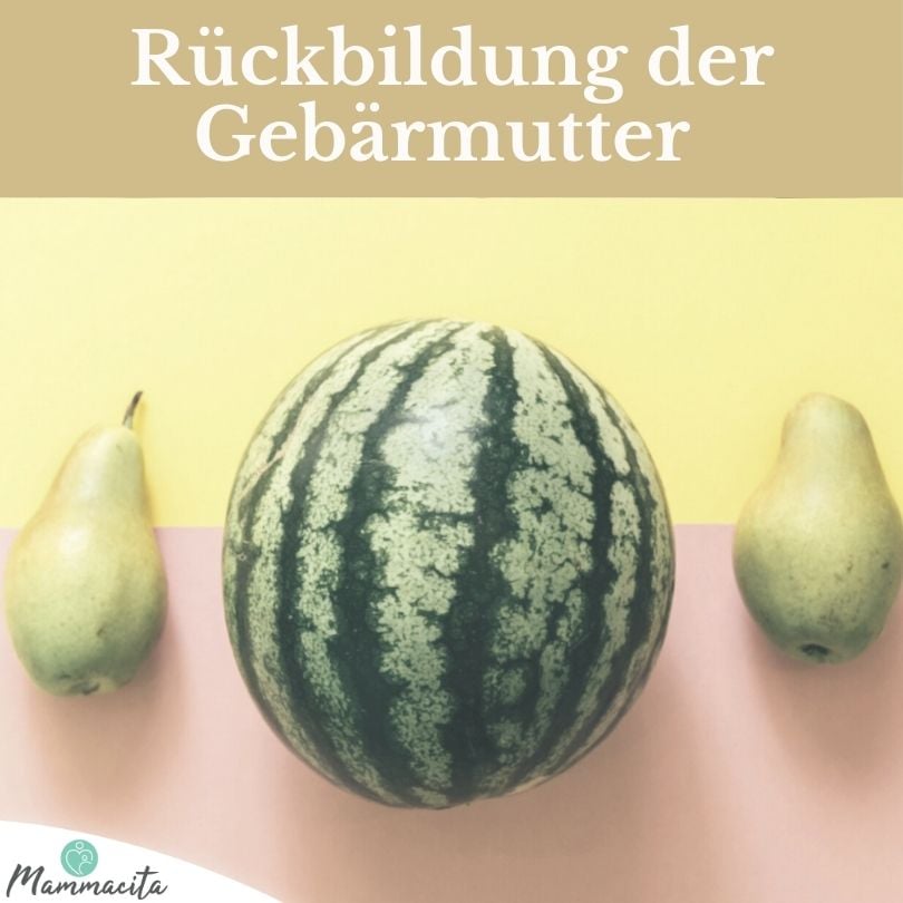 Rückbildung der Gebärmutter Beitragsbild